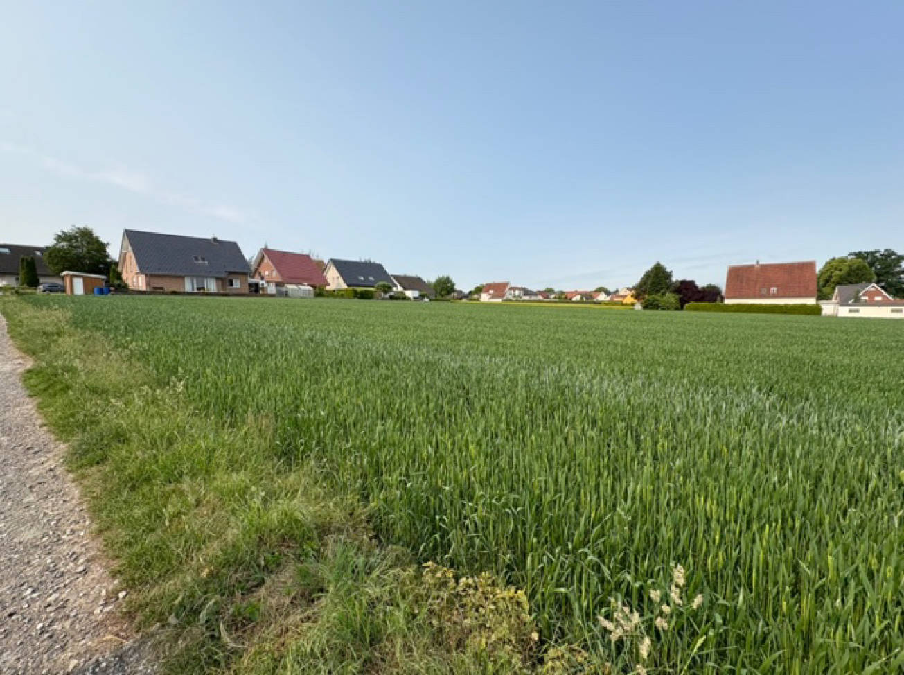 land- und forstwirtschaftlich genutztes Grundstück in Am Bahndamm, 32130 Enger, Westerenger - Bild 3