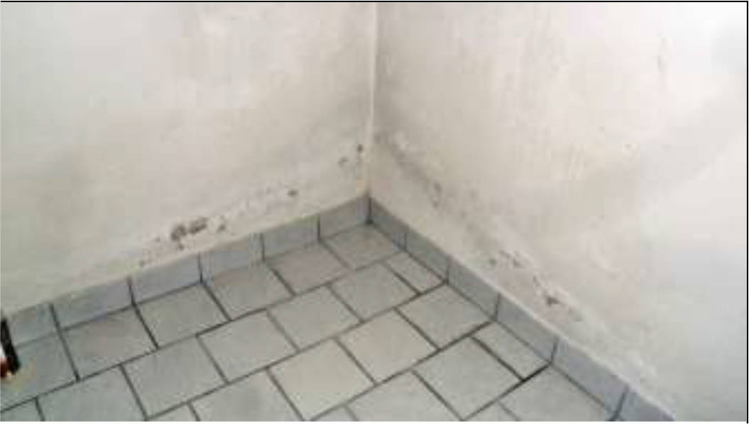 nordrheinwestpfalen 0071 K 0003/2024 Stadtholzstr. 72, 72 B, 32049 Herford 12