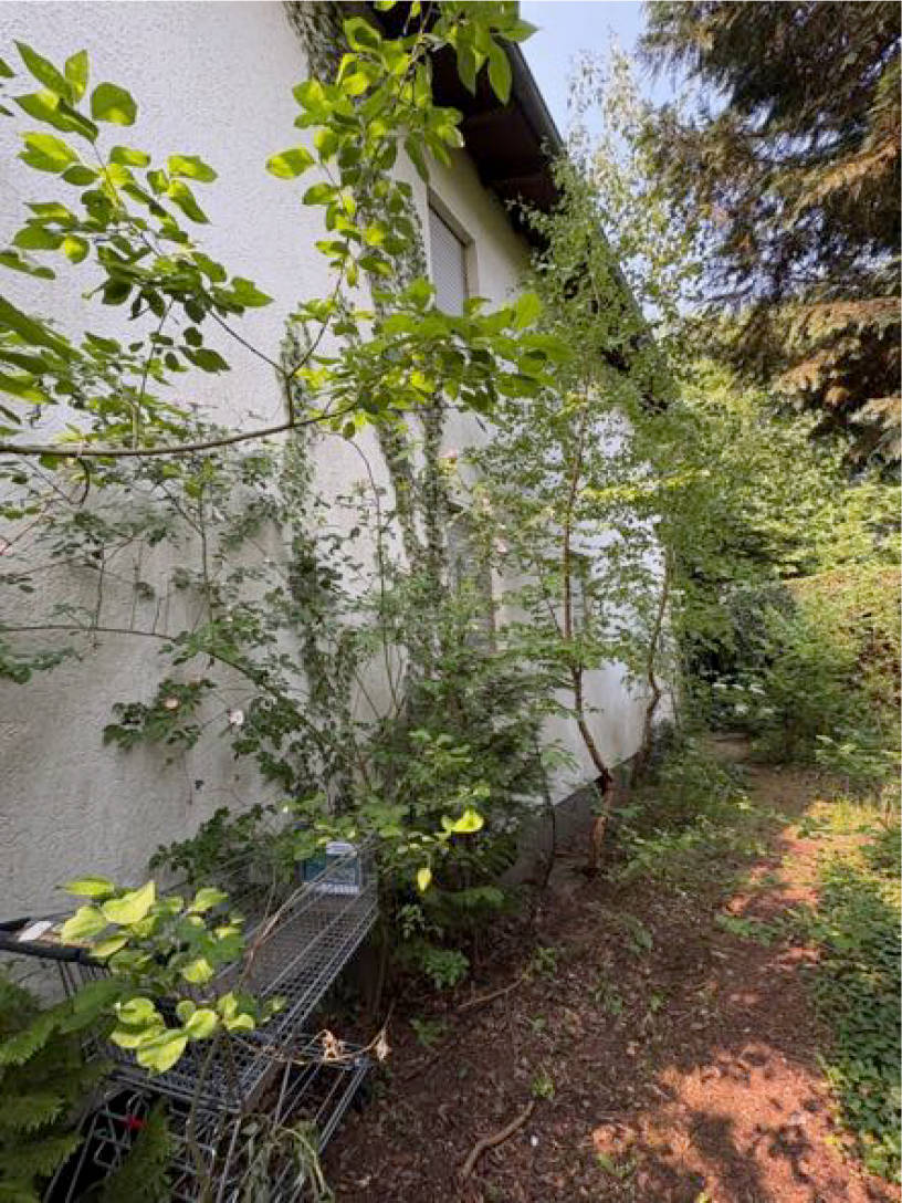 Zweifamilienhaus in Börenstraße 11, 32130 Enger - Bild 3