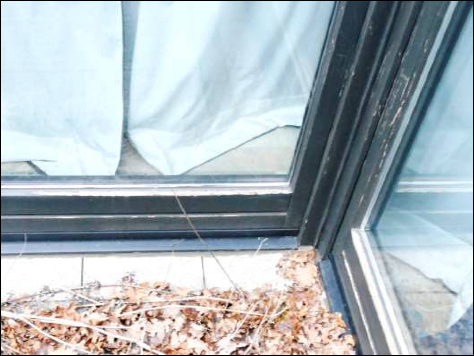 nordrheinwestpfalen 0071 K 0012/2024 Danziger Straße 22, 32120 Hiddenhausen, Eilshausen 7