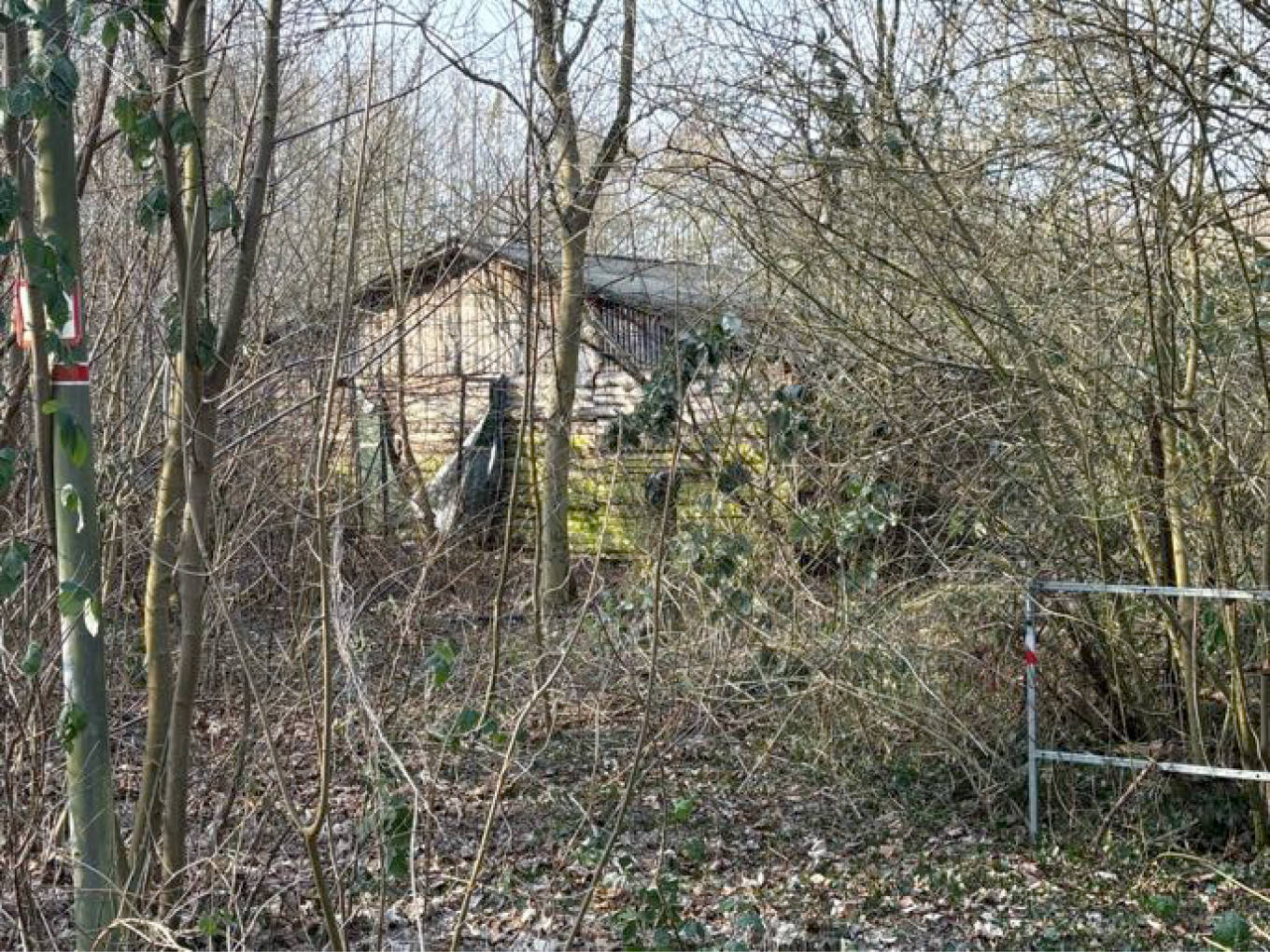 Haus mit großem Grundstück in Waldfriedenstraße 17, 32049 Herford - Bild 2