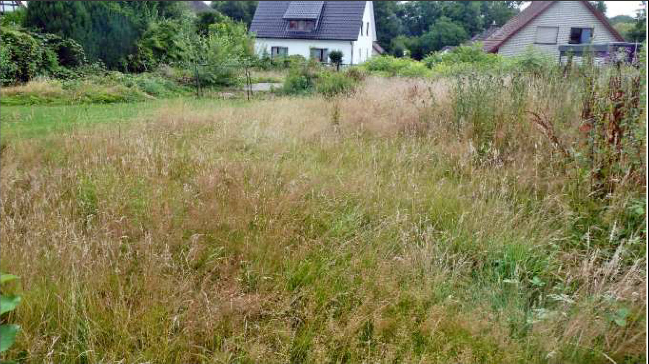 unbebautes Grundstück in Rosenstraße 16 A, 32130 Enger - Bild 5