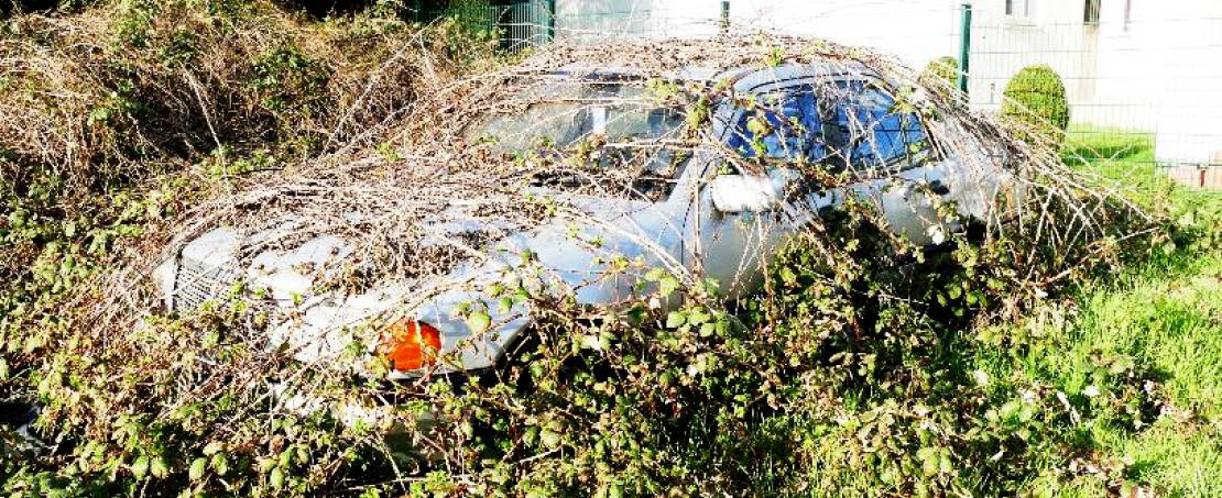 unbebautes Grundstück in Zum Uphof, 32120 Hiddenhausen, Sundern - Bild 5