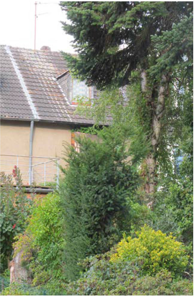 Garage, Reihenhaus in Marschnerstraße 12, 00000 , Benrath - Bild 2