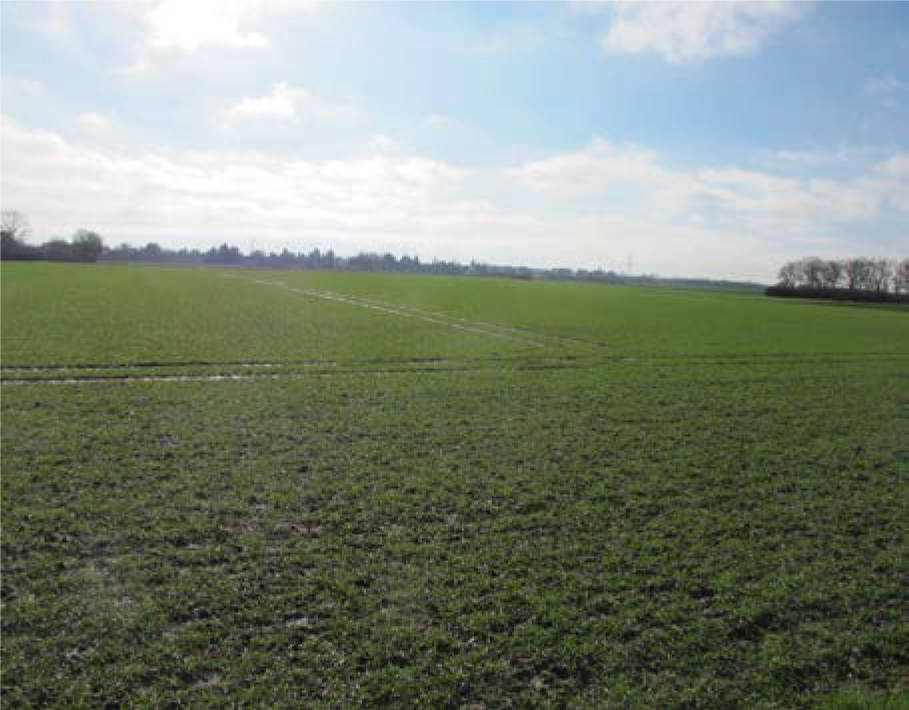 nordrheinwestpfalen 0085 K 0012/2025 Am blinden Weg und Am Wassenberg, 40489 Düsseldorf, Angermund 2