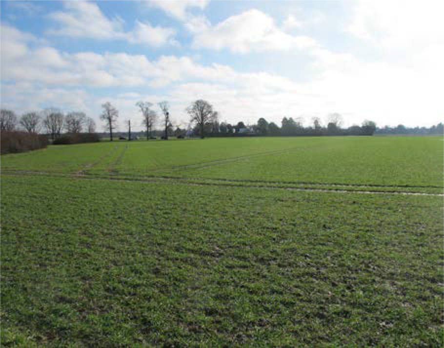 nordrheinwestpfalen 0085 K 0012/2025 Am blinden Weg und Am Wassenberg, 40489 Düsseldorf, Angermund 1