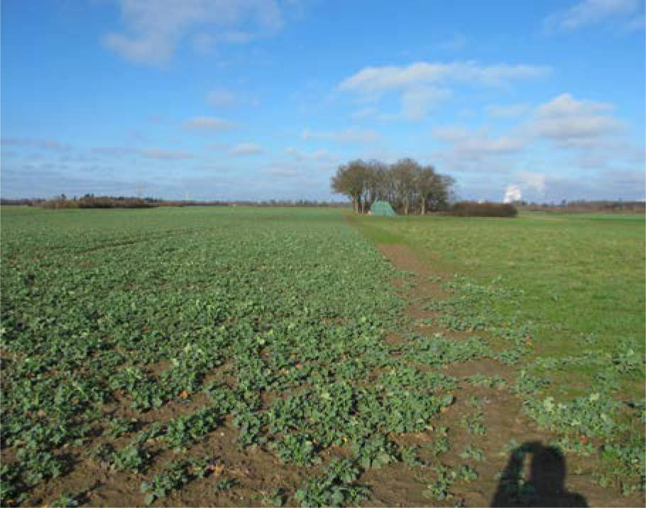 nordrheinwestpfalen 0085 K 0012/2025 Am blinden Weg und Am Wassenberg, 40489 Düsseldorf, Angermund 4