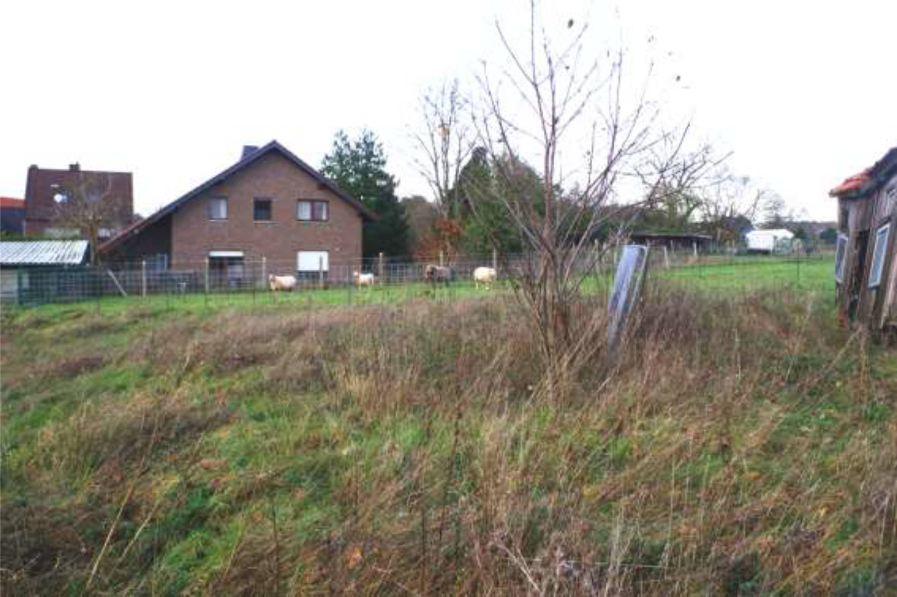land- und forstwirtschaftlich genutztes Grundstück, Eigentumswohnung (ab 5 Zimmer) in Talstr. 102, 52525 ;Heinsberg;Waldfeucht, Braunsrath