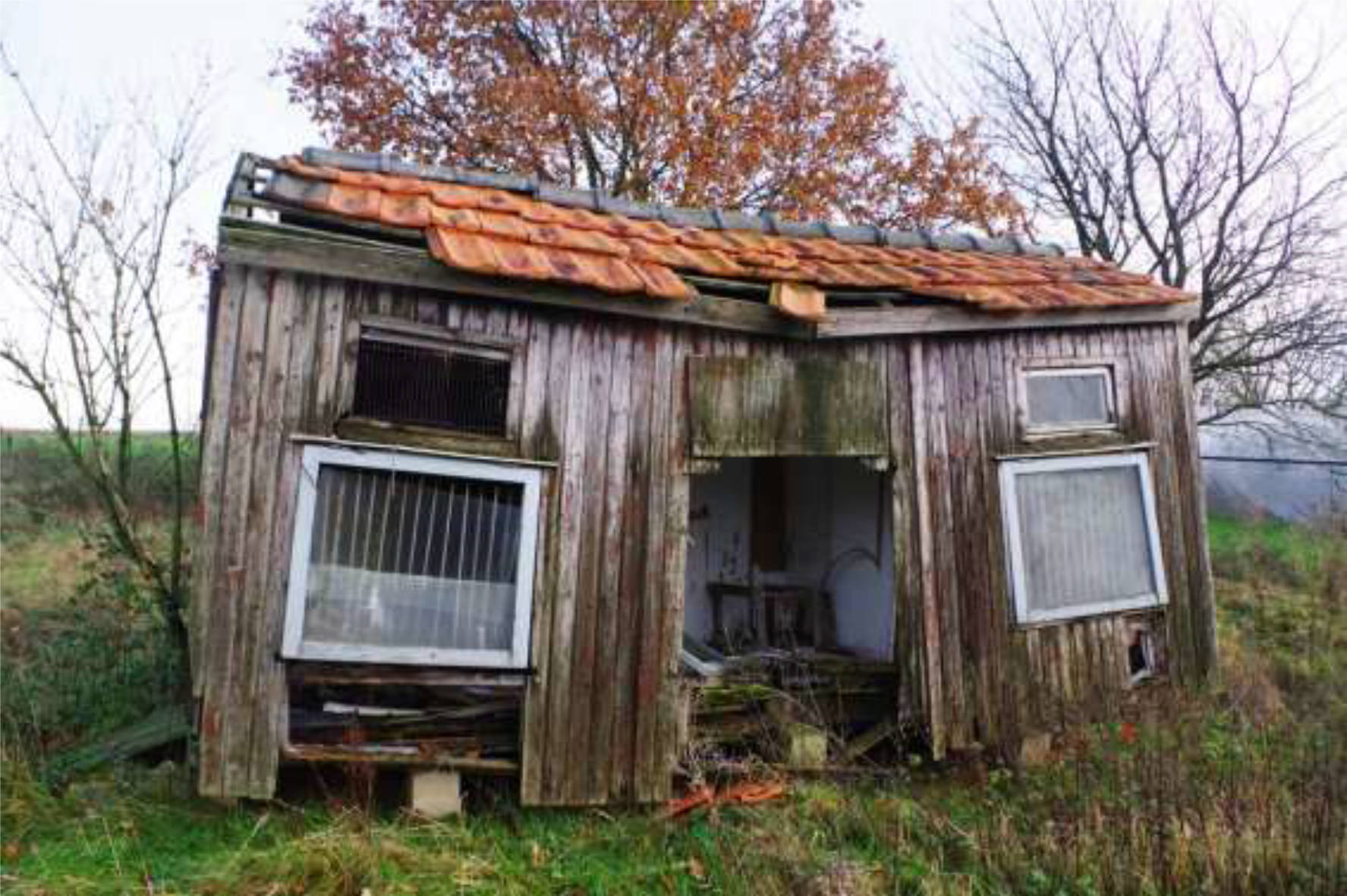 land- und forstwirtschaftlich genutztes Grundstück, Eigentumswohnung (ab 5 Zimmer) in Talstr. 102, 52525 ;Heinsberg;Waldfeucht, Braunsrath - Bild 5