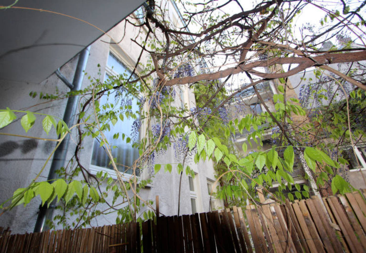 Eigentumswohnung (3 bis 4 Zimmer) in Kurfürstenstr. 2 A, 50678 Köln , Neustadt-Süd - Bild 2