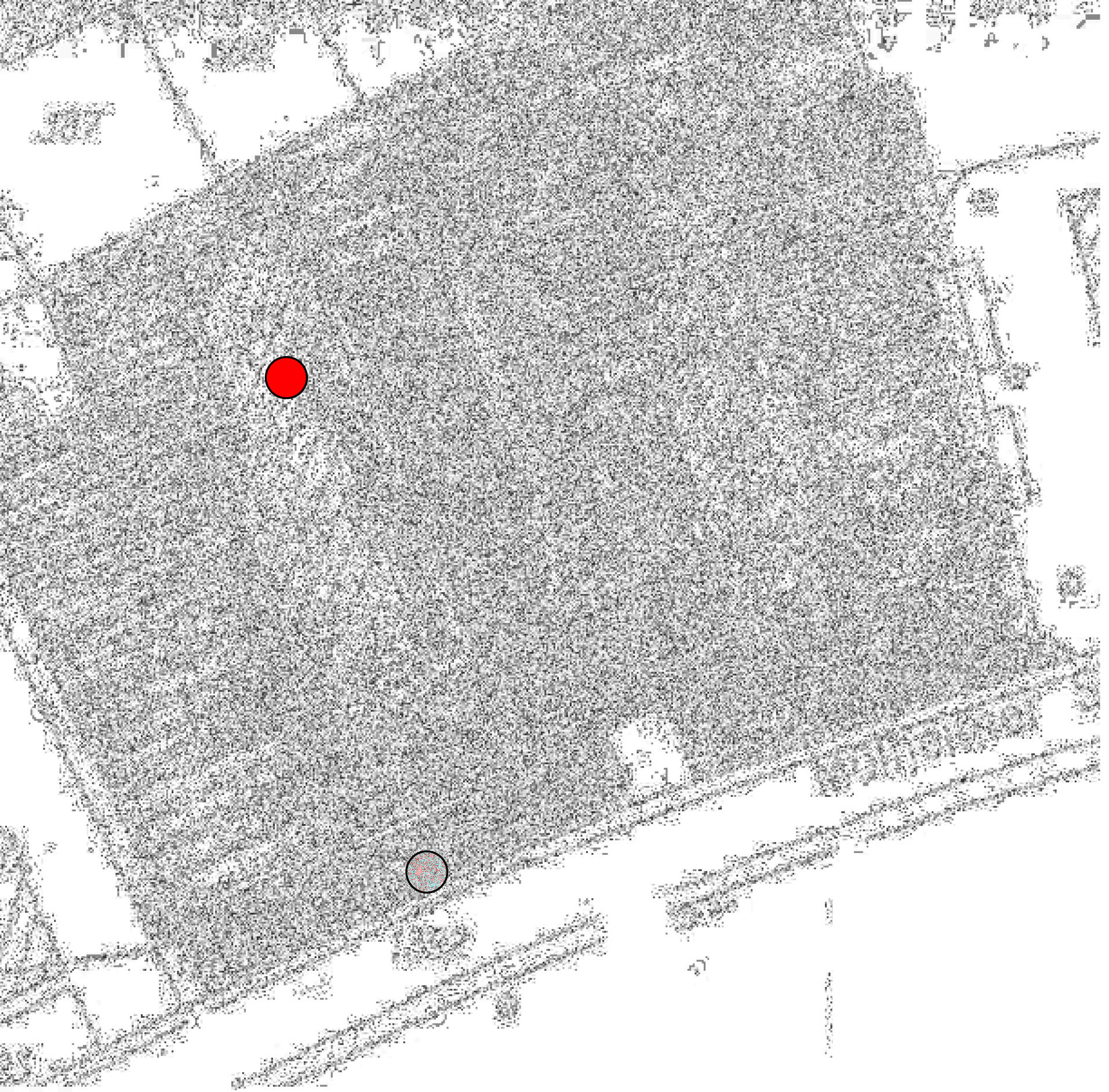 nordrheinwestpfalen 0092 K 0019/2025 Mülheimer Straße 15, 17, 19 , 51145 Köln, Eil 14