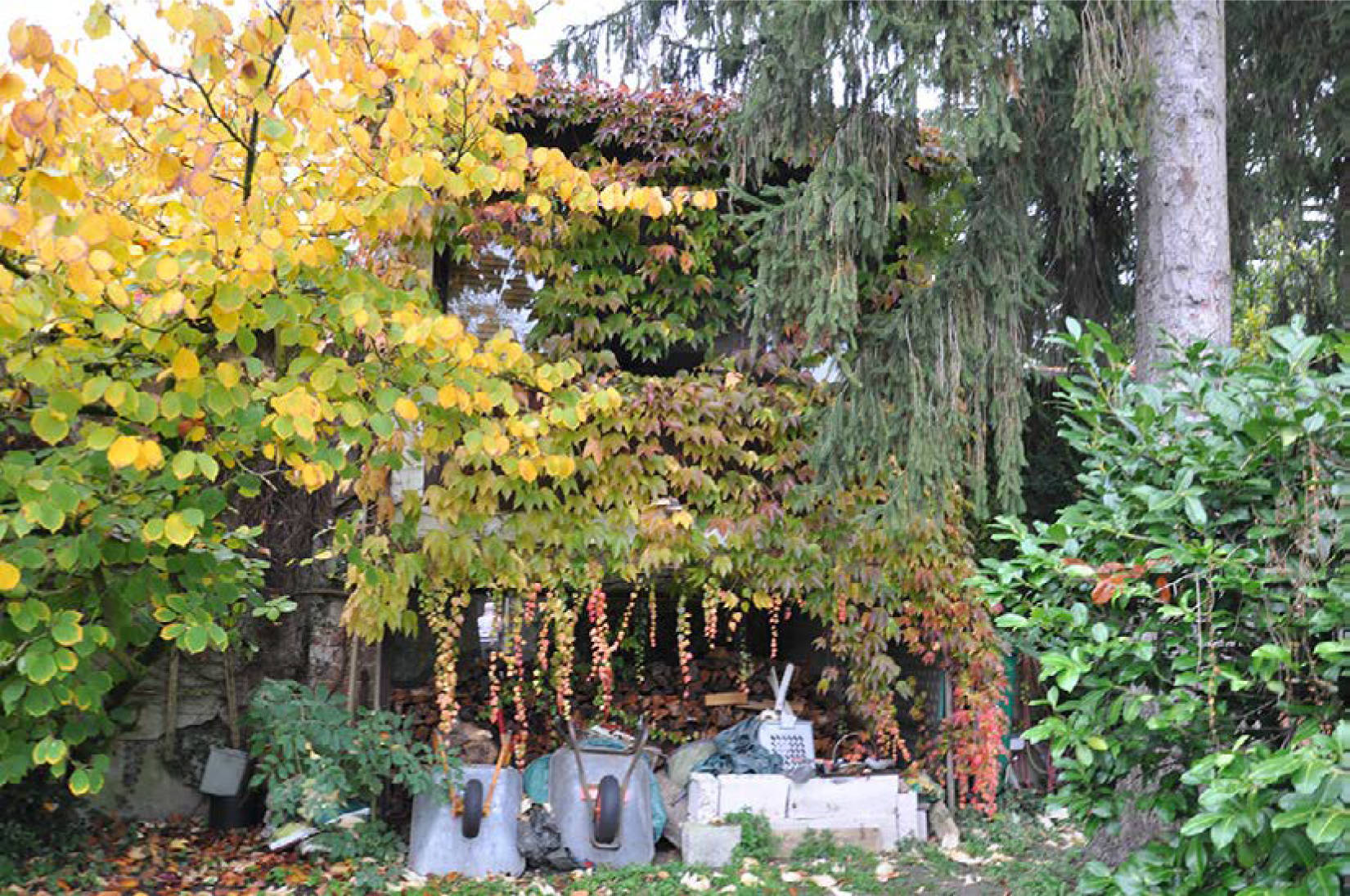 Einfamilienhaus, Anbau, Scheune, Gartenlandflurstück (innenliegend) in Merkenicher Str. 180, 50735 Köln, Niehl - Bild 5