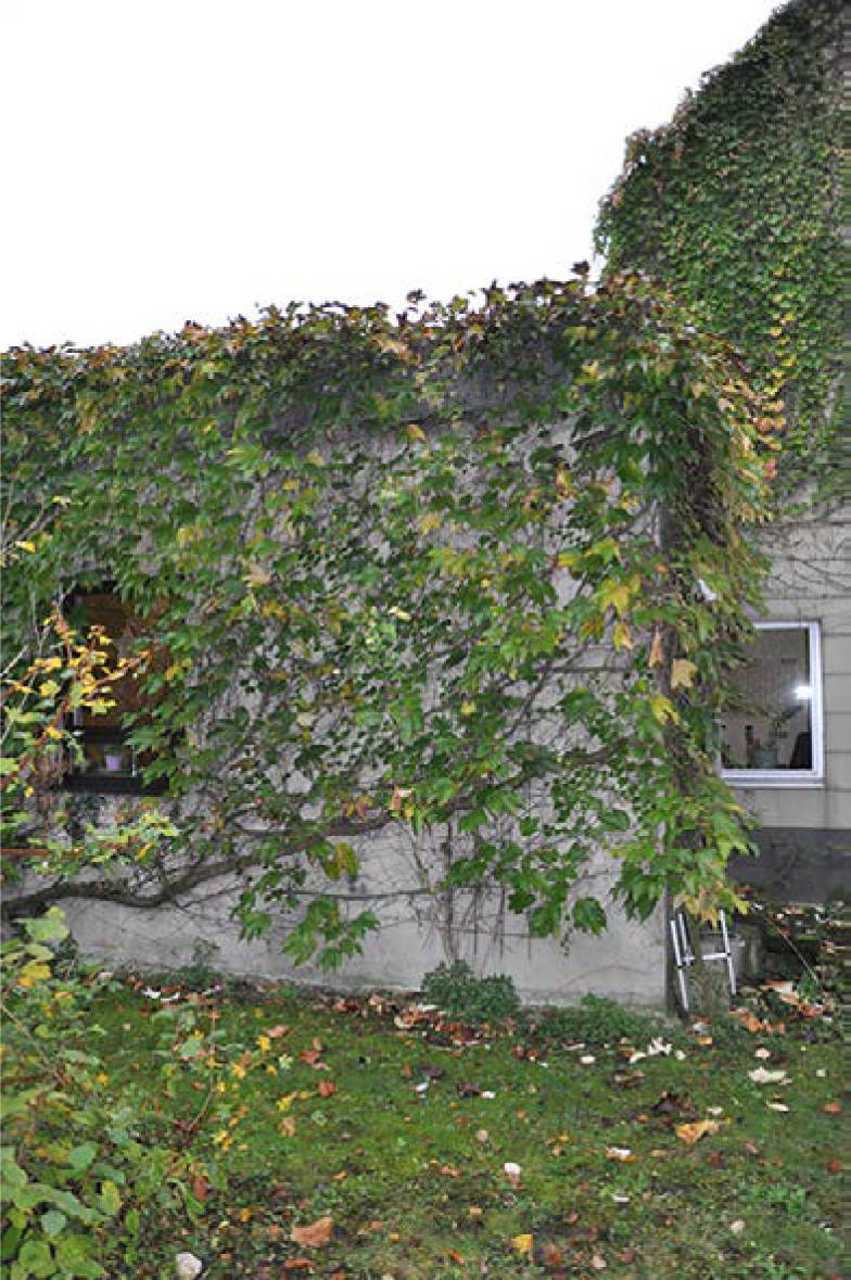 Einfamilienhaus, Anbau, Scheune, Gartenlandflurstück (innenliegend) in Merkenicher Str. 180, 50735 Köln, Niehl - Bild 2