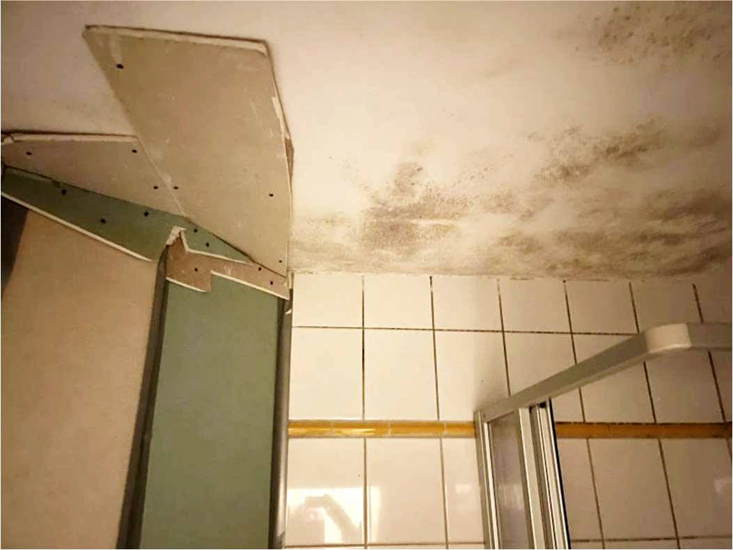 nordrheinwestpfalen 0092 K 0066/2024 Bergisch Gladbacher Straße 1052, 51069 Köln, Dellbrück 19