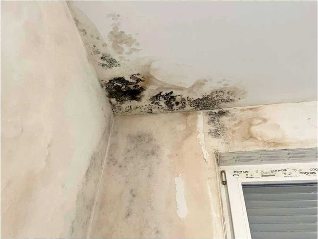 nordrheinwestpfalen 0092 K 0066/2024 Bergisch Gladbacher Straße 1052, 51069 Köln, Dellbrück 18