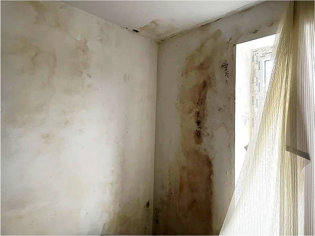 nordrheinwestpfalen 0092 K 0066/2024 Bergisch Gladbacher Straße 1052, 51069 Köln, Dellbrück 21