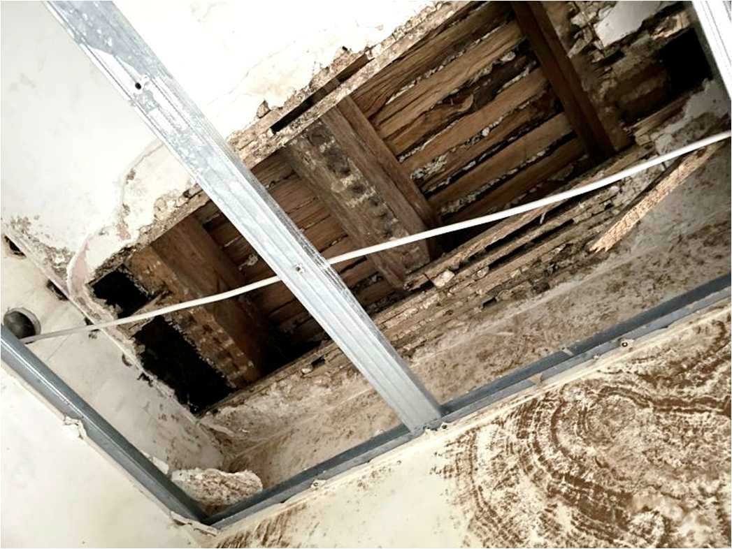 nordrheinwestpfalen 0092 K 0066/2024 Bergisch Gladbacher Straße 1052, 51069 Köln, Dellbrück 22