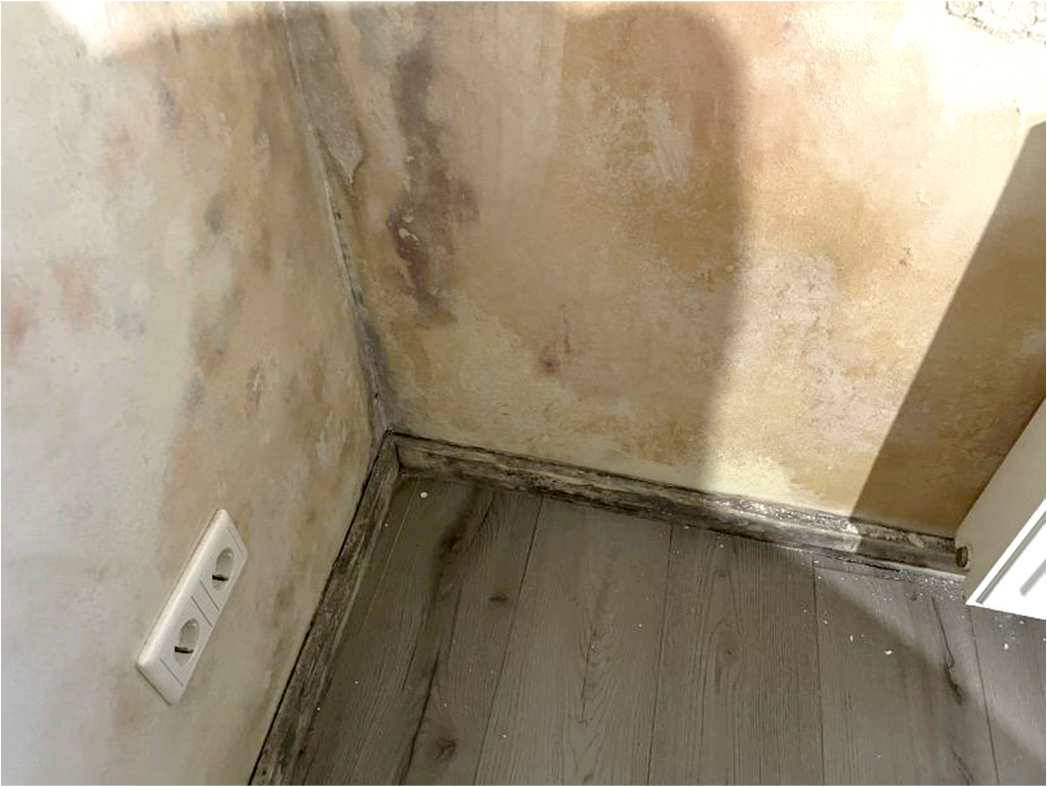 nordrheinwestpfalen 0092 K 0066/2024 Bergisch Gladbacher Straße 1052, 51069 Köln, Dellbrück 7