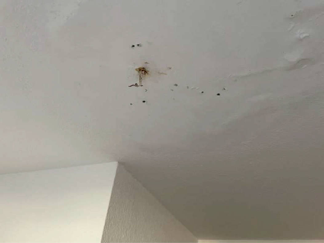 nordrheinwestpfalen 0092 K 0067/2024 Graseggerstr. 139, Wilhelm-Sollmann-Str. 105 , 50737 Köln, Longerich 11