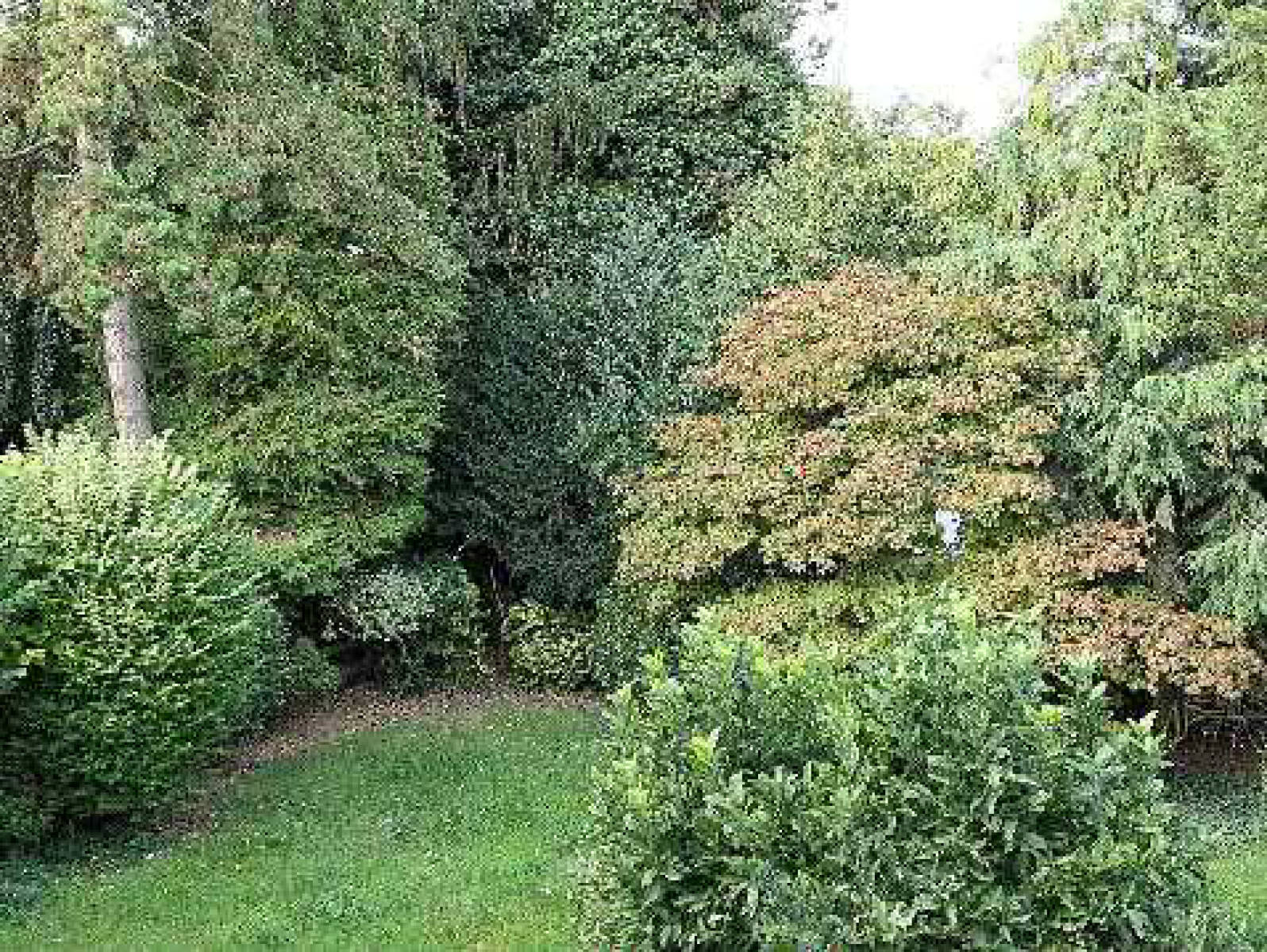 nordrheinwestpfalen 0092K0083-2022 Bachstraße 13, 50858 Köln, Junkersdorf 6