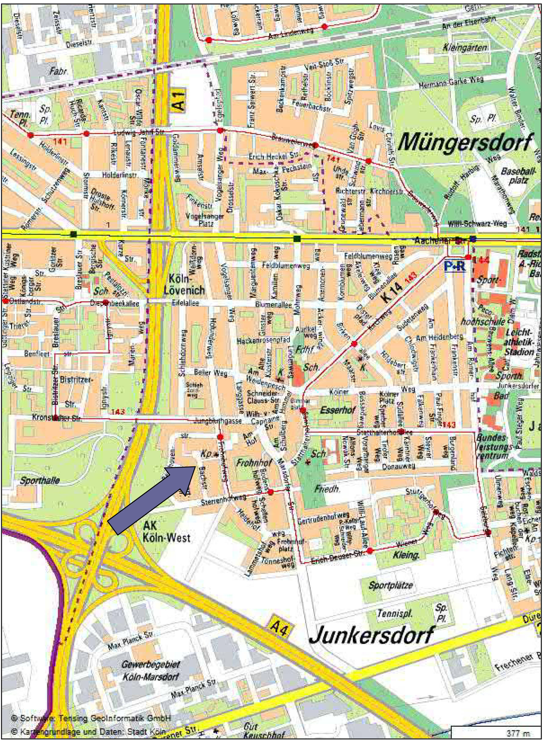Garage, Einfamilienhaus in Bachstraße 13, 50858 Köln, Junkersdorf - Bild 3