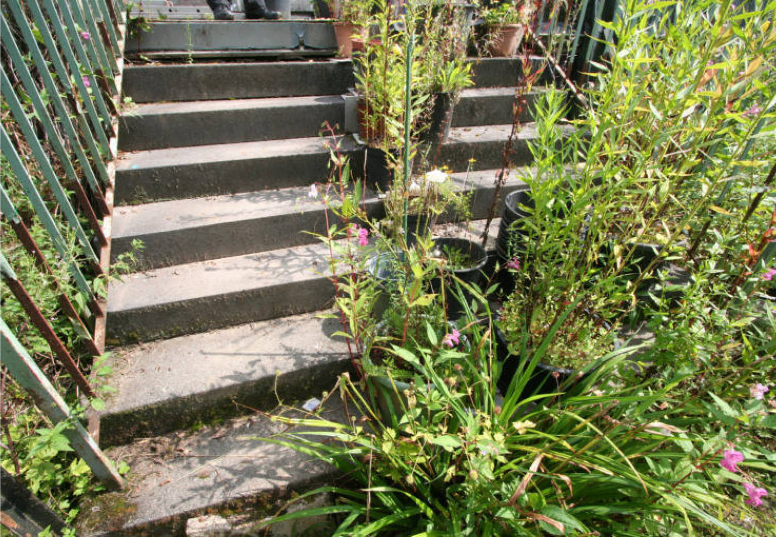 nordrheinwestpfalen 0093 K 0013/2024 Lehmbacher Weg 116 A, 51109 Köln, Brück 16