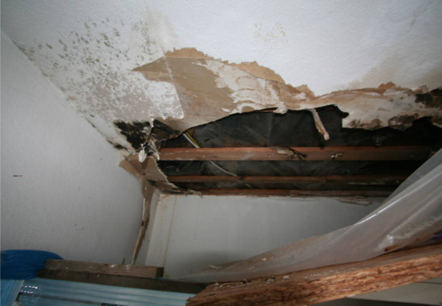 nordrheinwestpfalen 0093 K 0013/2024 Lehmbacher Weg 116 A, 51109 Köln, Brück 21