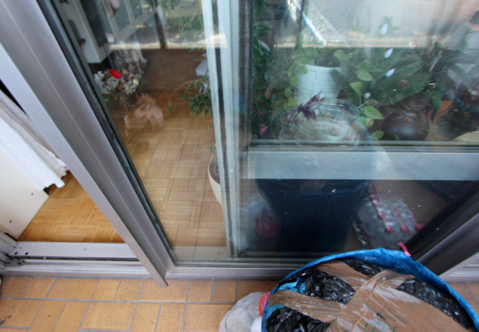 nordrheinwestpfalen 0093 K 0053/2024 An der Schanz 2, 50735 Köln, Riehl 17