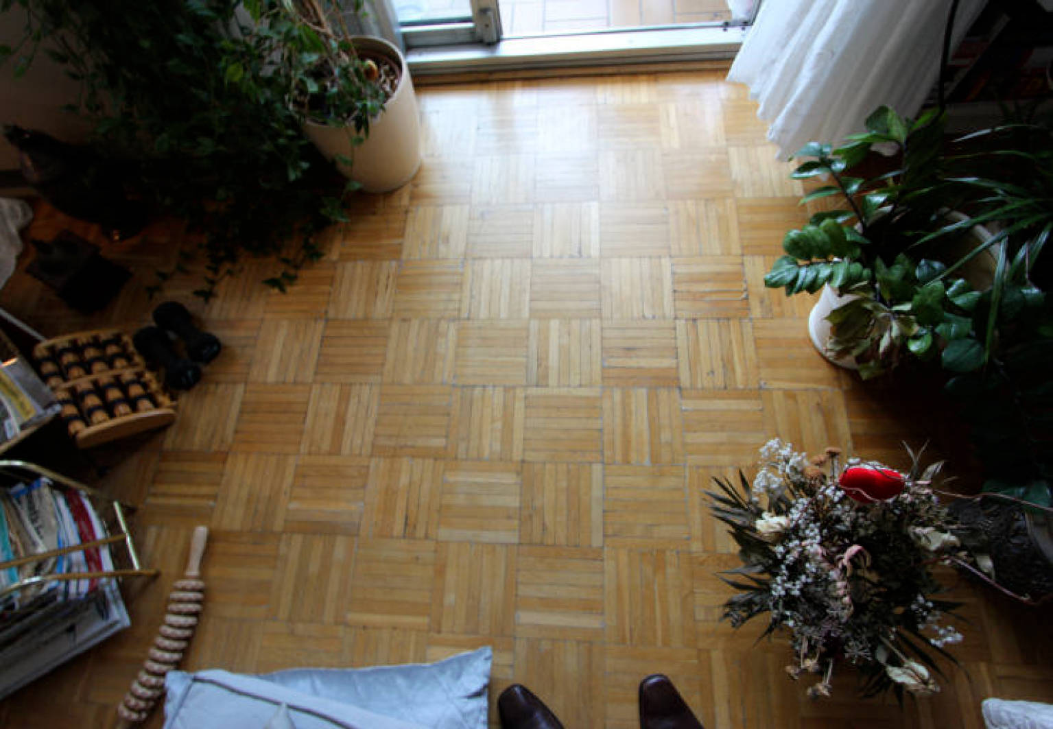 nordrheinwestpfalen 0093 K 0053/2024 An der Schanz 2, 50735 Köln, Riehl 7