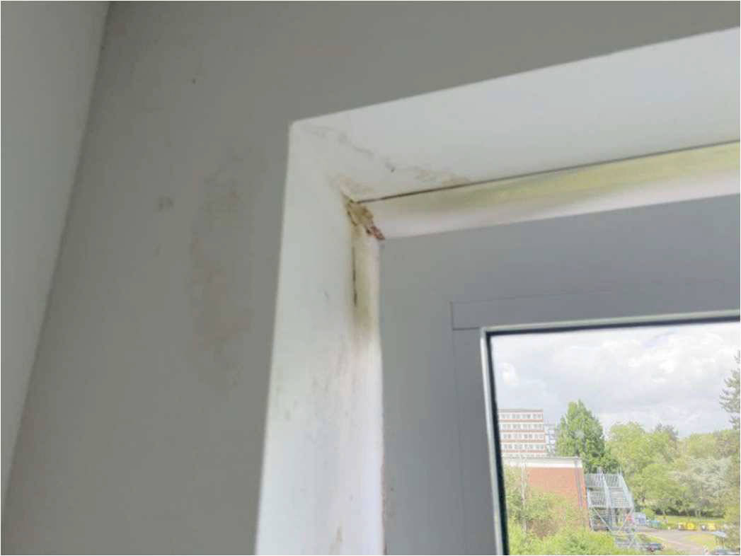 nordrheinwestpfalen 0093 K 0057/2024 Feldhamsterstr. 33, 50999 Köln, Rodenkirchen 16