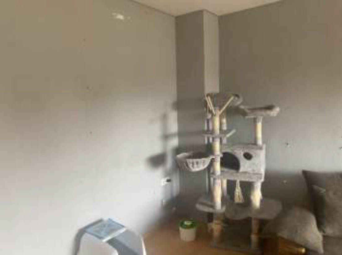 nordrheinwestpfalen 0105K0017-2023 Prinzenstraße 115, 47198 Duisburg, Homberg-Hochheide 9