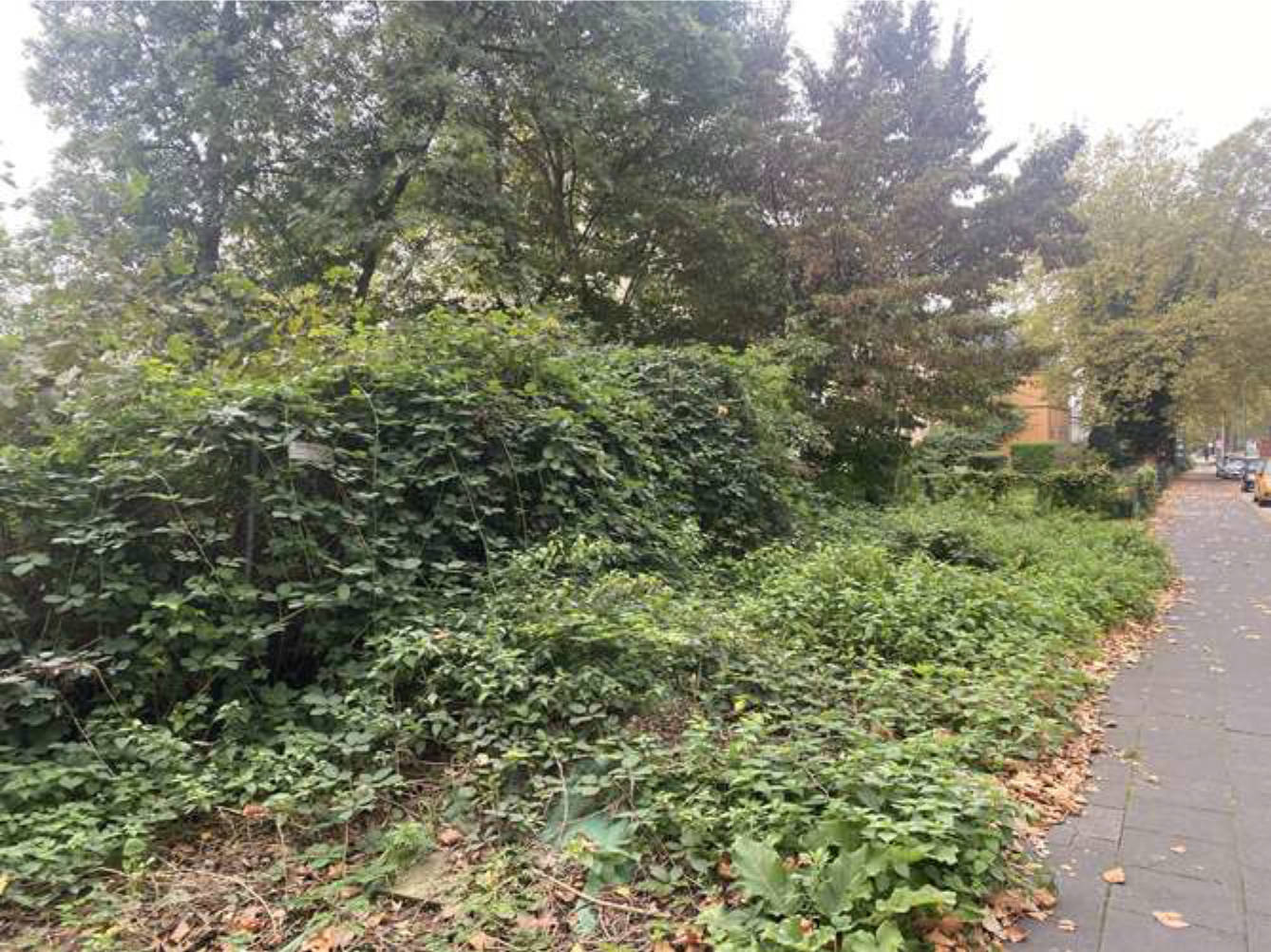 nordrheinwestpfalen 0105K0082/2023 Varziner Straße, 47138 Duisburg, Obermeiderich 8