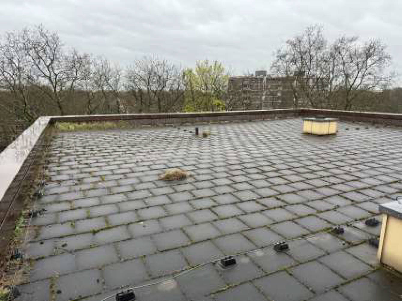 nordrheinwestpfalen 0106K0053/2023 Düsseldorfer Straße 205, 207, Welkerstraße 4, 6, 47053 Duisburg, Dellviertel 10