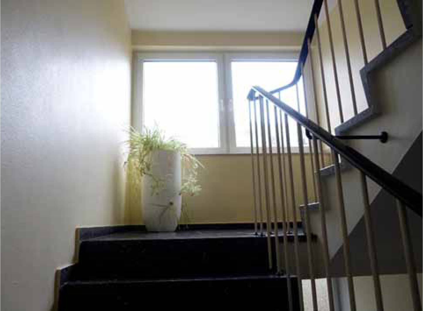 nordrheinwestpfalen 0141K0006/2024 Wittelsbacher Straße 55-59, 50321 Brühl, Kierberg 15