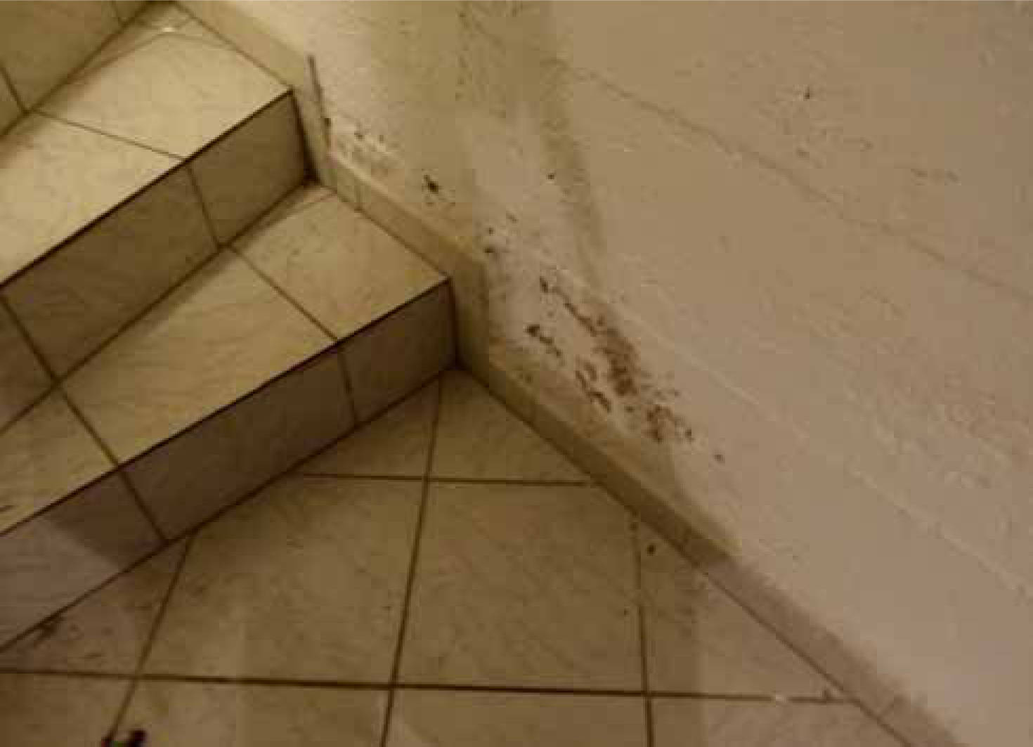 nordrheinwestpfalen 0141 K 0009/2024 Saarlandstraße 1, 50389 Wesseling 20