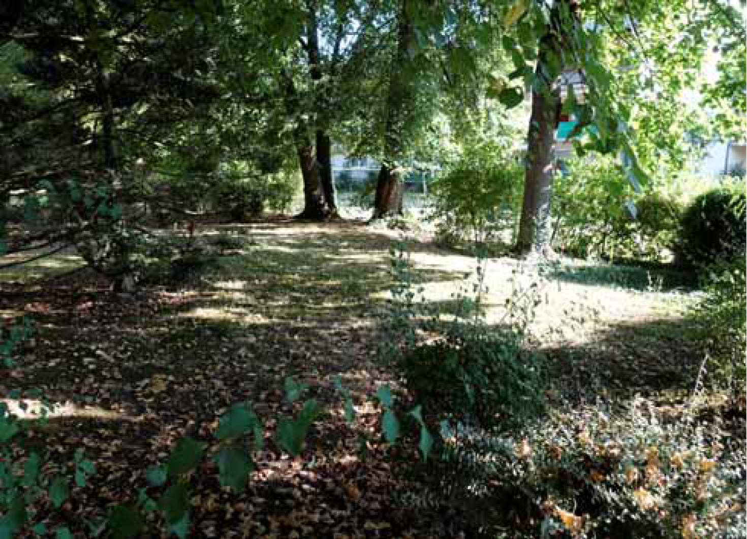 nordrheinwestpfalen 0141 K 0009/2025 Mertener-Straße 5, 7, 9, 11, 50321 Brühl 27