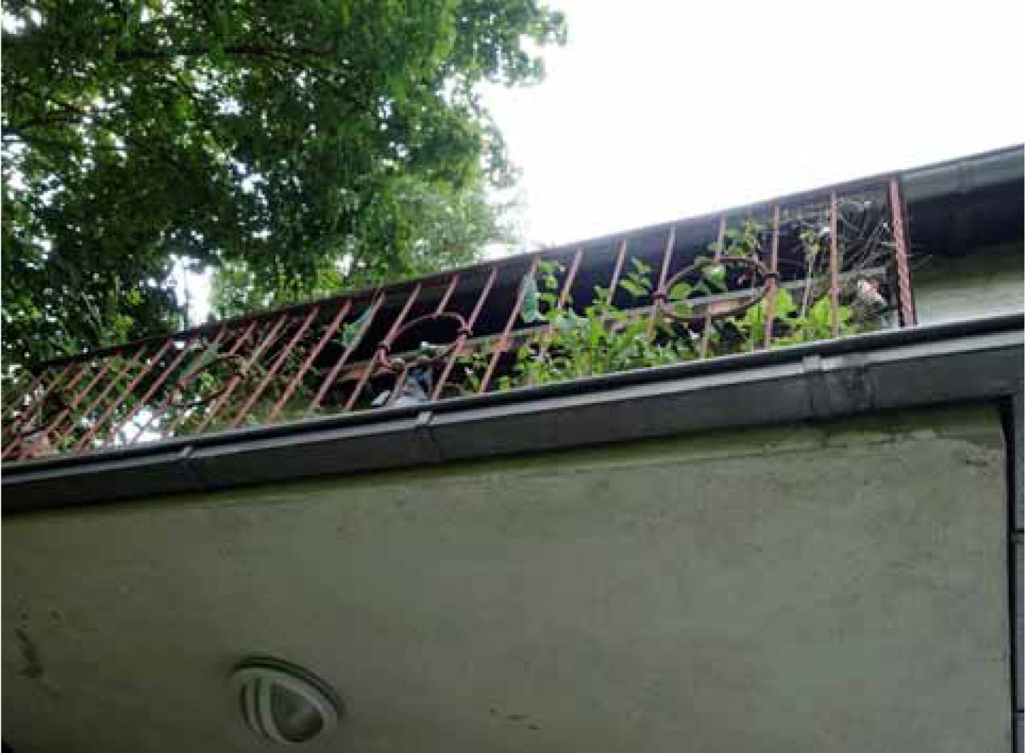 nordrheinwestpfalen 0141K0015-2024 Krankenhausstraße 70, 50354 Hürth, Hermülheim