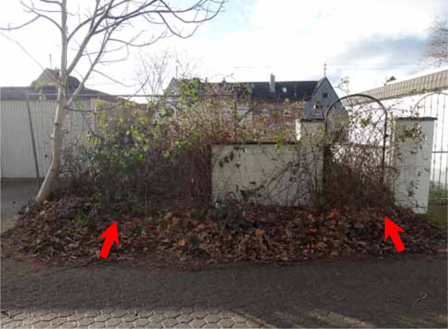 nordrheinwestpfalen 0141 K 0018/2024 Mittelstraße 7, 50374 Erftstadt, Köttingen 26