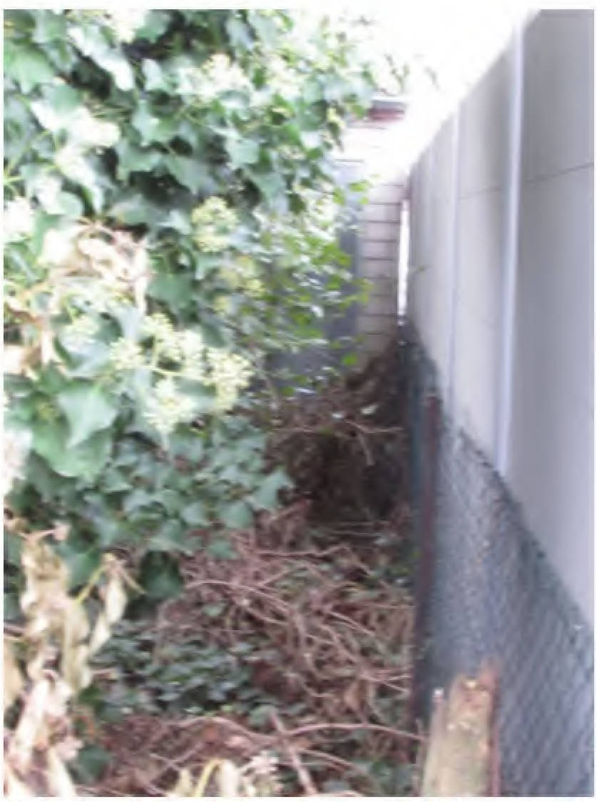 nordrheinwestpfalen 0141 K 0024/2024 Weltersmühle 29, 50374 Erftstadt, Lechenich 20