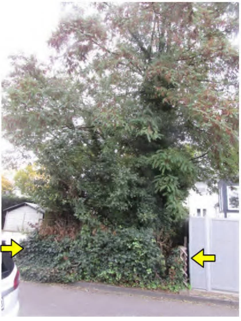 nordrheinwestpfalen 0141 K 0024/2024 Weltersmühle 29, 50374 Erftstadt, Lechenich 17