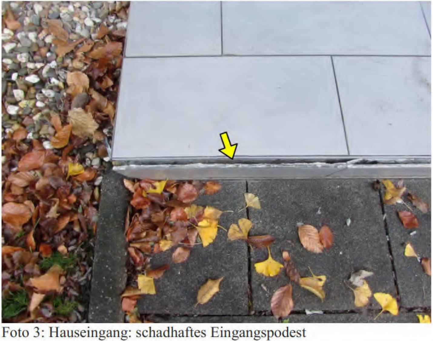nordrheinwestpfalen 0141 K 0025/2025 Schlangenpfad 33, 50354 Hürth 6