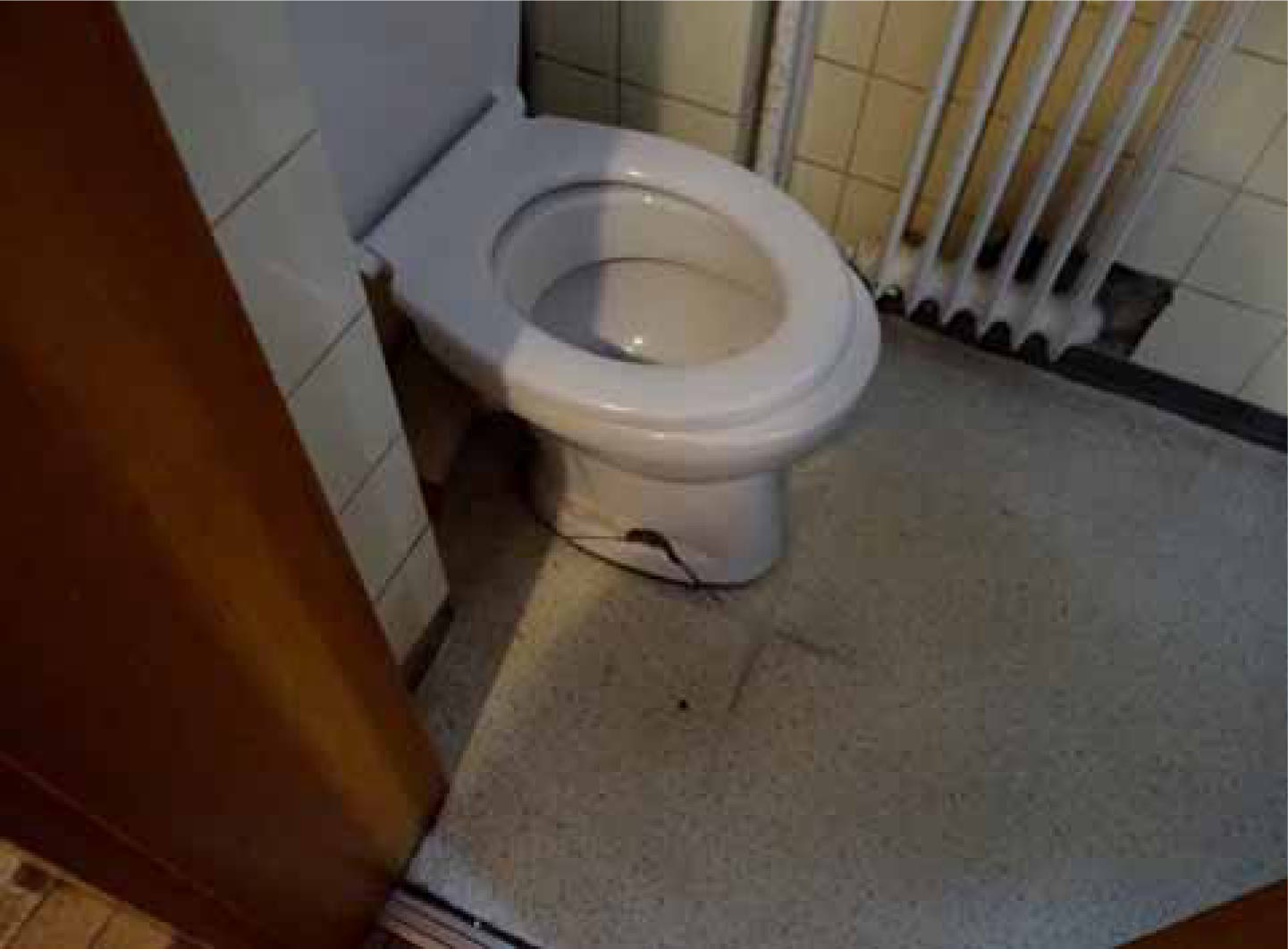 nordrheinwestpfalen 0141 K 0026/2024 Langenackerstraße 57, 50389 Wesseling, Berzdorf 12