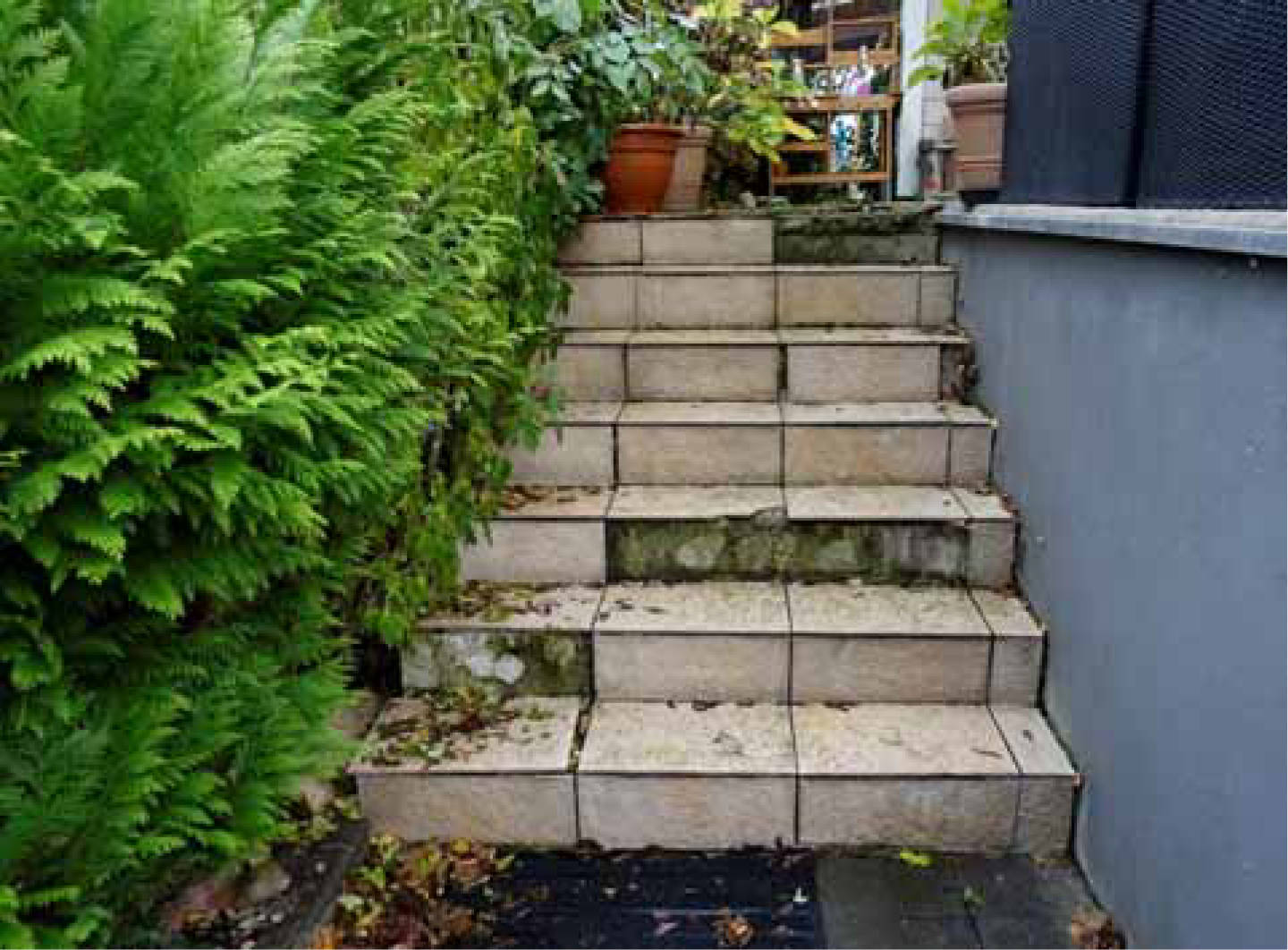 nordrheinwestpfalen 0141 K 0026/2024 Langenackerstraße 57, 50389 Wesseling, Berzdorf 18