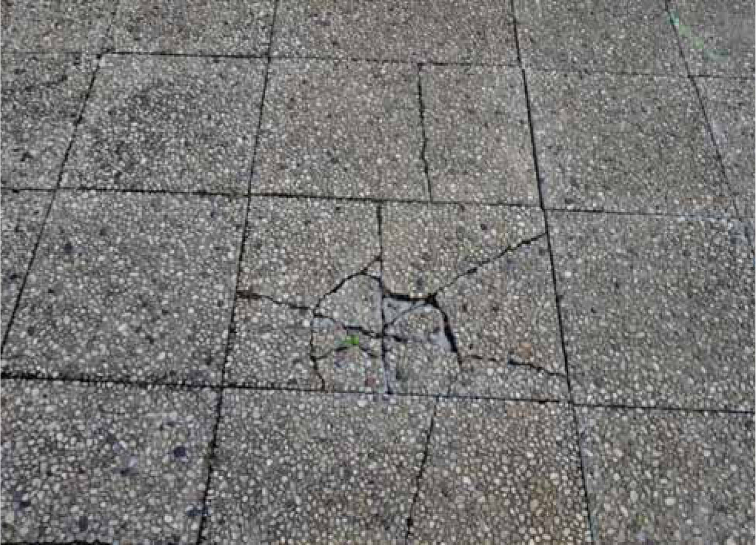 nordrheinwestpfalen 0141 K 0026/2025 Roggendorfer Weg 25 A, 50374 Erftstadt, Kierdorf 15