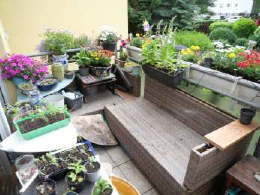 Garage, Eigentumswohnung (1 bis 2 Zimmer) in Schönebecker Straße 112, 45359 Essen, Schönebeck - Bild 5