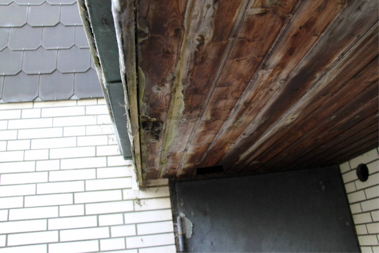 nordrheinwestpfalen 0180K0026-2024 Thiesbürgerweg 4, 45145 Essen, Frohnhausen