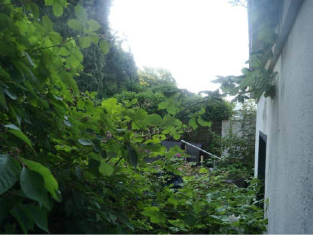 nordrheinwestpfalen 0180 K 0045/2024 Kriemhildenstr. 9, 45307 Essen, Kray 10