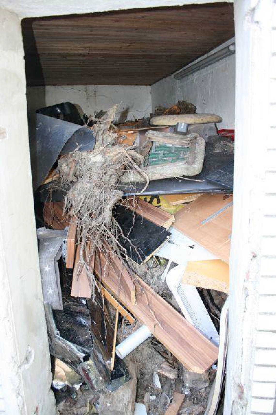 nordrheinwestpfalen 0183 K 0002/2024 Unterstr. 34A, 45359 Essen, Frintrop 31