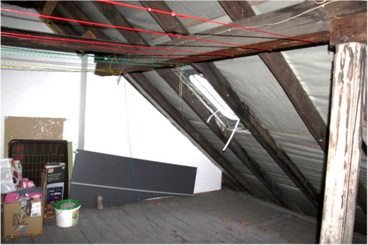 nordrheinwestpfalen 0183 K 0024/2024 Wertstraße 11, 00000 25