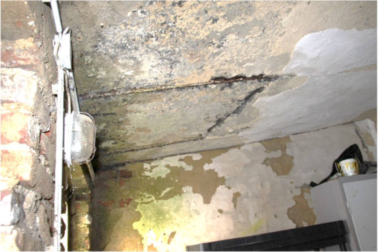 nordrheinwestpfalen 0183 K 0024/2024 Wertstraße 11, 00000 11